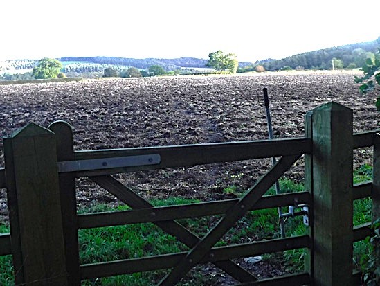 gate and ploughed field