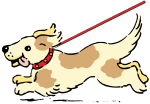 dog running